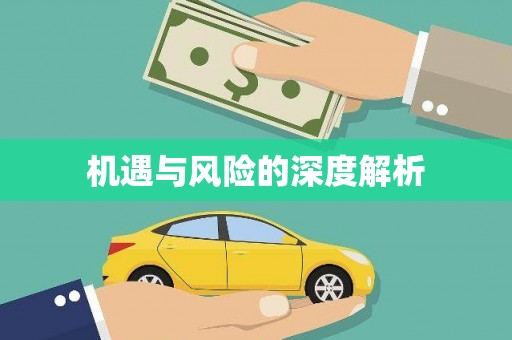 高坪机遇与风险的深度解析