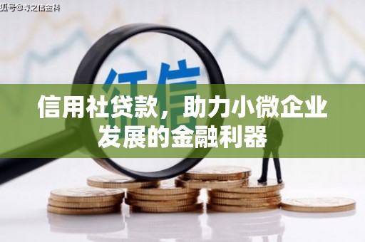 高坪信用社贷款，助力小微企业发展的金融利器