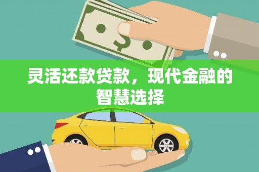 高坪灵活还款贷款，现代金融的智慧选择