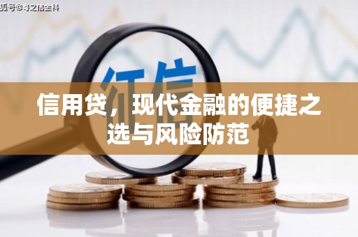 高坪信用贷，现代金融的便捷之选与风险防范