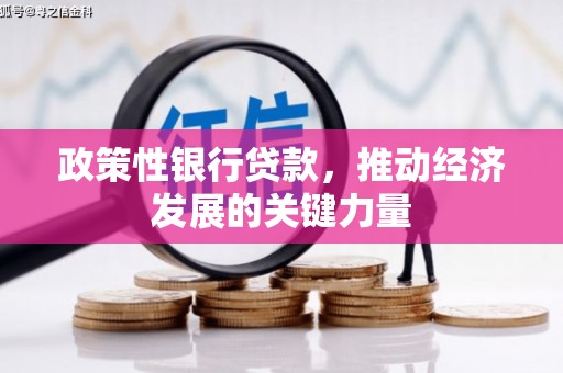 高坪政策性银行贷款，推动经济发展的关键力量