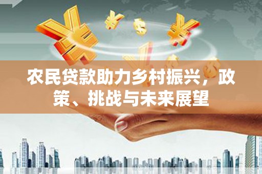 高坪农民贷款助力乡村振兴，政策、挑战与未来展望