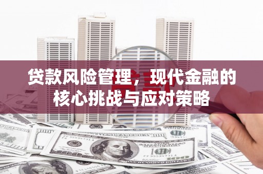 高坪贷款风险管理，现代金融的核心挑战与应对策略