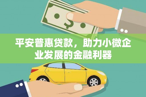 高坪平安普惠贷款，助力小微企业发展的金融利器