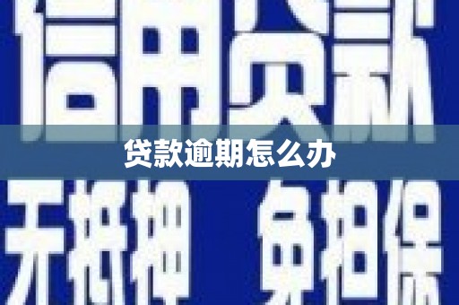 高坪贷款逾期怎么办