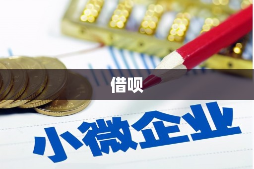 高坪借呗