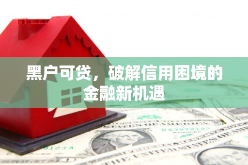 高坪黑户可贷，破解信用困境的金融新机遇
