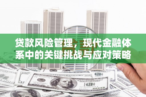 高坪贷款风险管理，现代金融体系中的关键挑战与应对策略