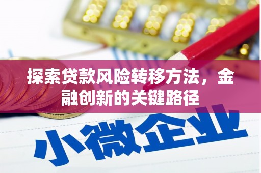 高坪探索贷款风险转移方法，金融创新的关键路径