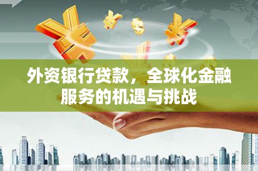高坪外资银行贷款，全球化金融服务的机遇与挑战