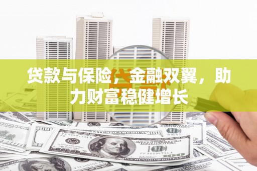 高坪贷款与保险，金融双翼，助力财富稳健增长