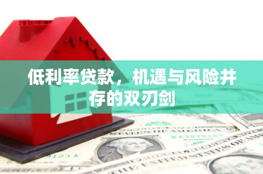 高坪低利率贷款，机遇与风险并存的双刃剑
