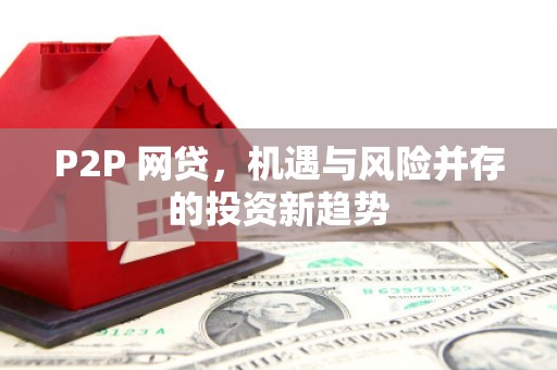 高坪P2P 网贷，机遇与风险并存的投资新趋势