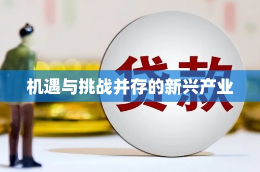 高坪机遇与挑战并存的新兴产业