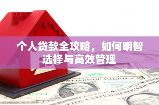 高坪个人贷款全攻略，如何明智选择与高效管理