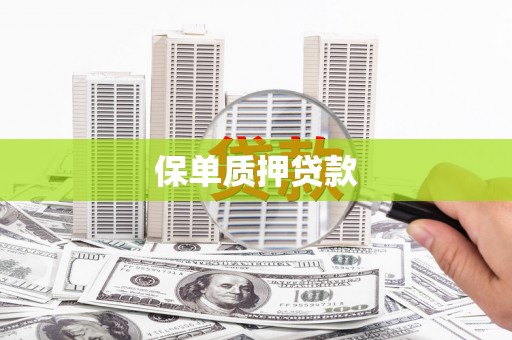 高坪保单质押贷款
