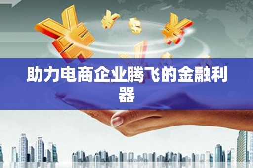 高坪助力电商企业腾飞的金融利器