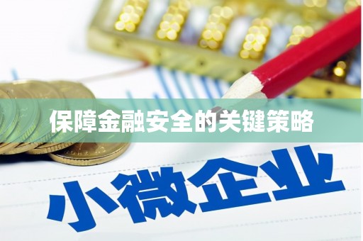 高坪保障金融安全的关键策略