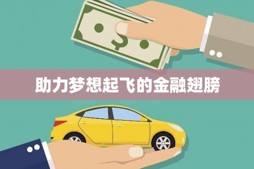 高坪助力梦想起飞的金融翅膀