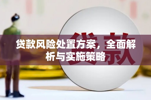高坪贷款风险处置方案，全面解析与实施策略