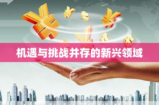高坪机遇与挑战并存的新兴领域