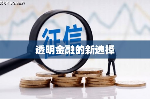 高坪透明金融的新选择