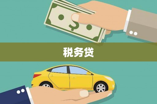 高坪税务贷