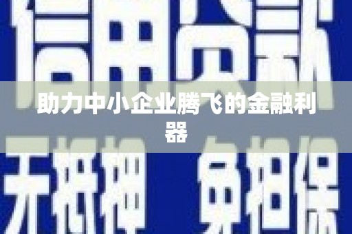 高坪助力中小企业腾飞的金融利器
