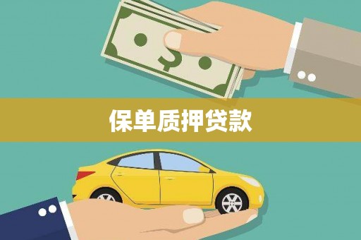 高坪保单质押贷款
