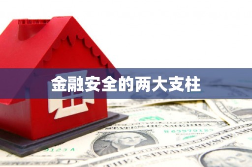 高坪金融安全的两大支柱