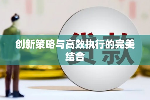 高坪创新策略与高效执行的完美结合