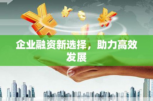 高坪企业融资新选择，助力高效发展