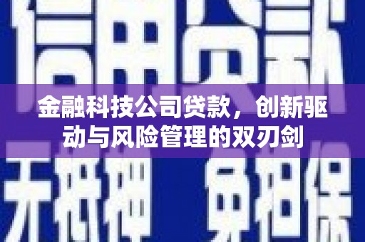 高坪金融科技公司贷款，创新驱动与风险管理的双刃剑